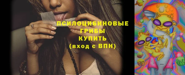 дурь Арсеньев