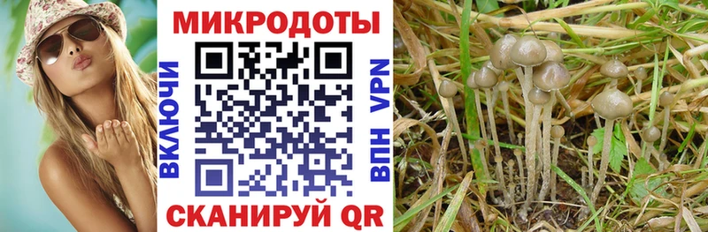 сколько стоит  Куйбышев  блэк спрут зеркало  Галлюциногенные грибы мухоморы 