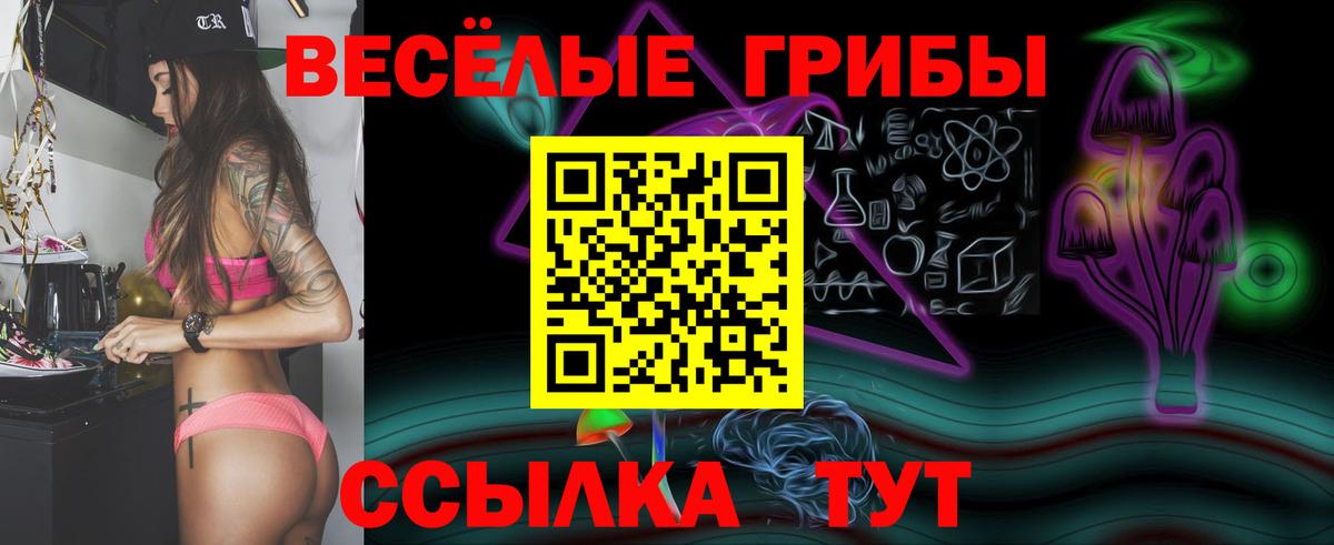 Галлюциногенные грибы MAGIC MUSHROOMS  наркошоп  Куйбышев  Вход с VPN  Галлюциногенные грибы MAGIC MUSHROOMS 
